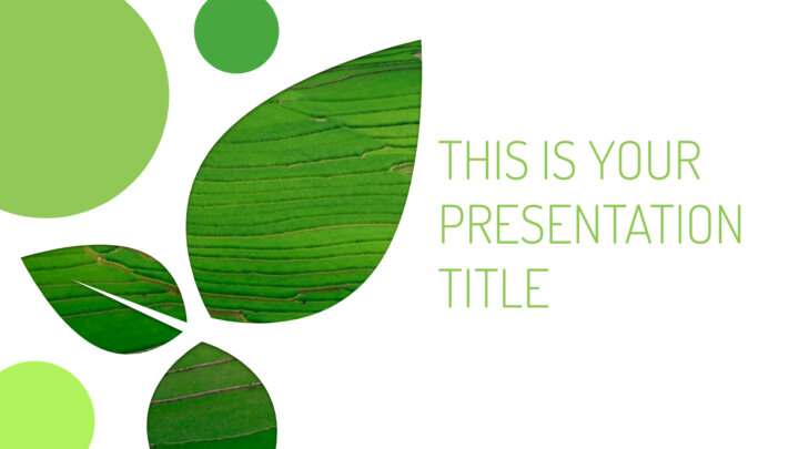 Folhas e Meio Ambiente. Template PowerPoint grátis e tema do Google Slides